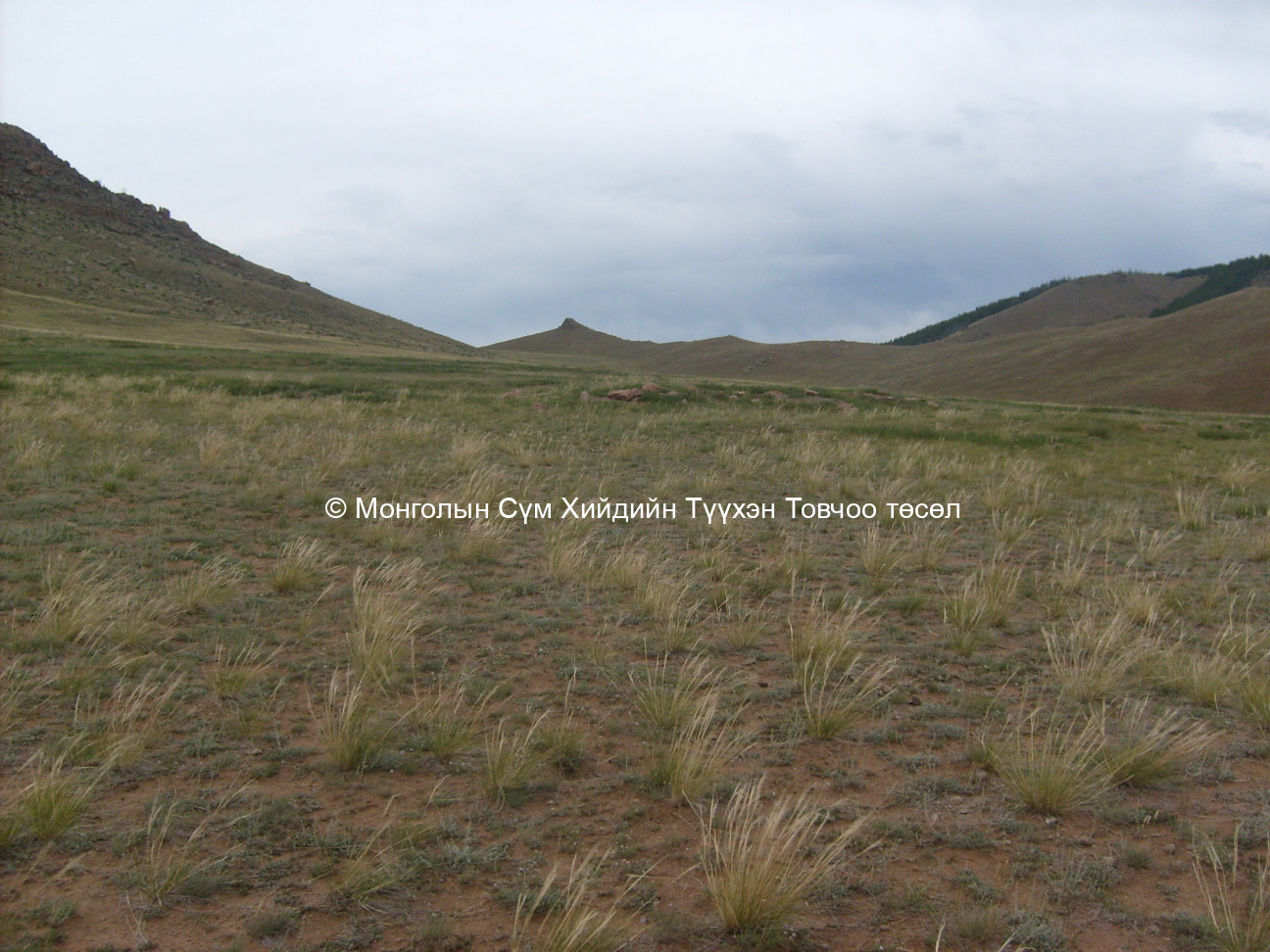 Баруун-Өмнөд талаас авсан